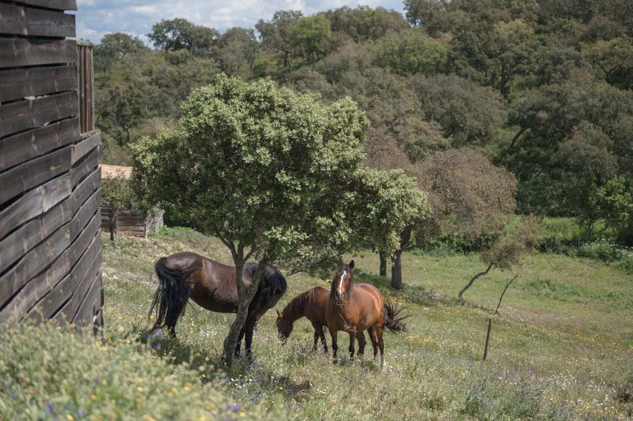 Monte Gois Country House E Spa Curvatos Kültér fotó
