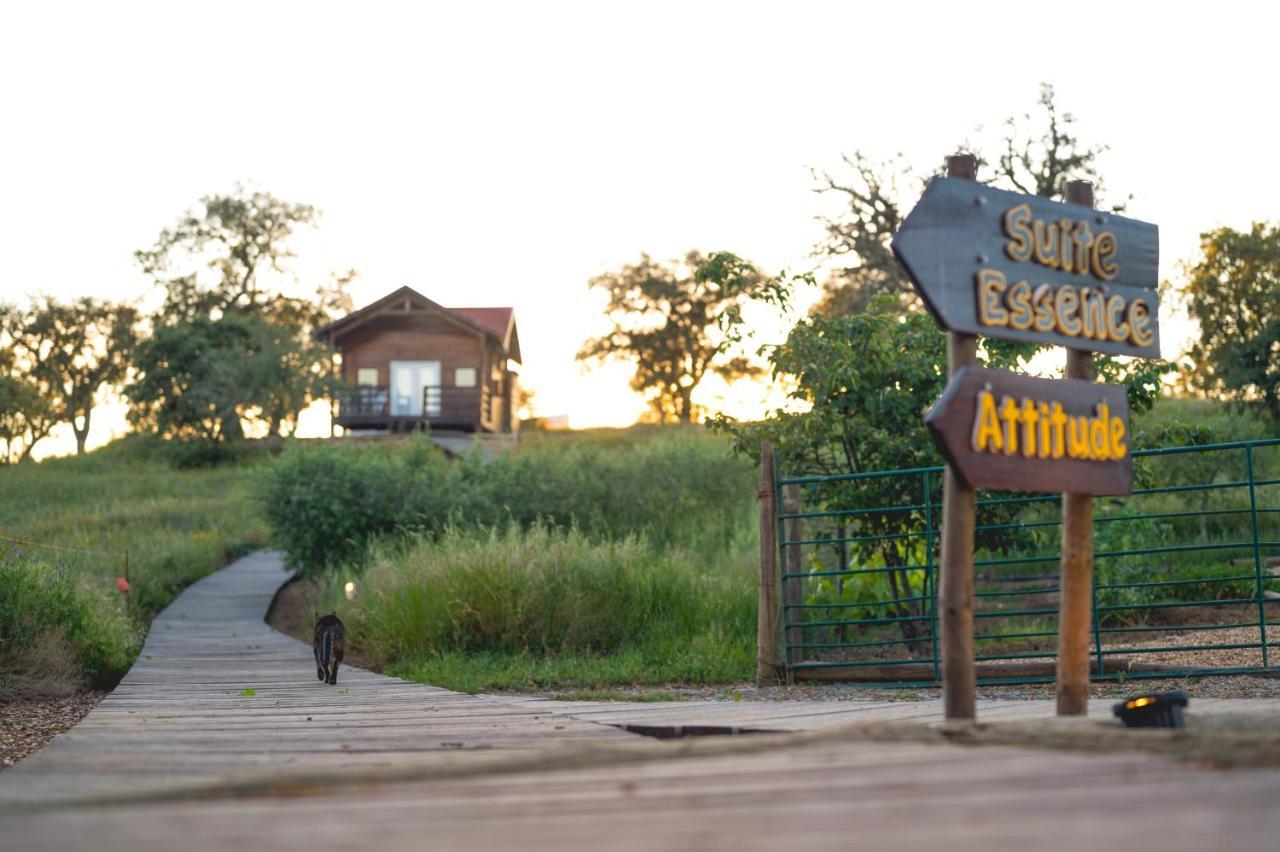 Monte Gois Country House E Spa Curvatos Kültér fotó