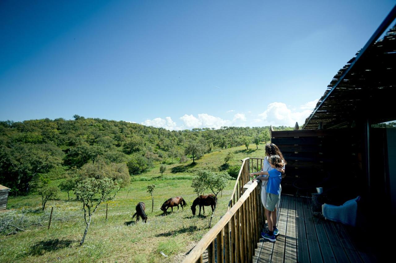 Monte Gois Country House E Spa Curvatos Kültér fotó