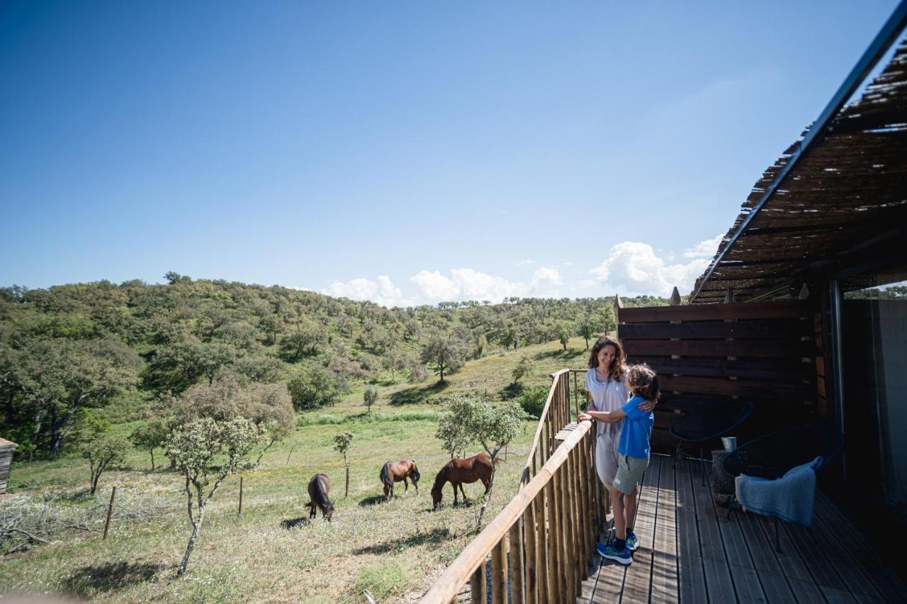 Monte Gois Country House E Spa Curvatos Kültér fotó
