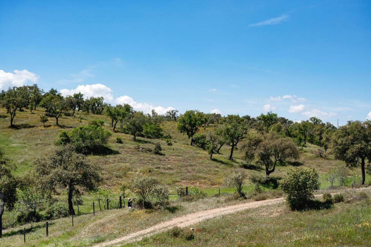 Monte Gois Country House E Spa Curvatos Kültér fotó