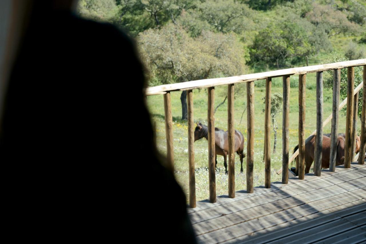 Monte Gois Country House E Spa Curvatos Kültér fotó